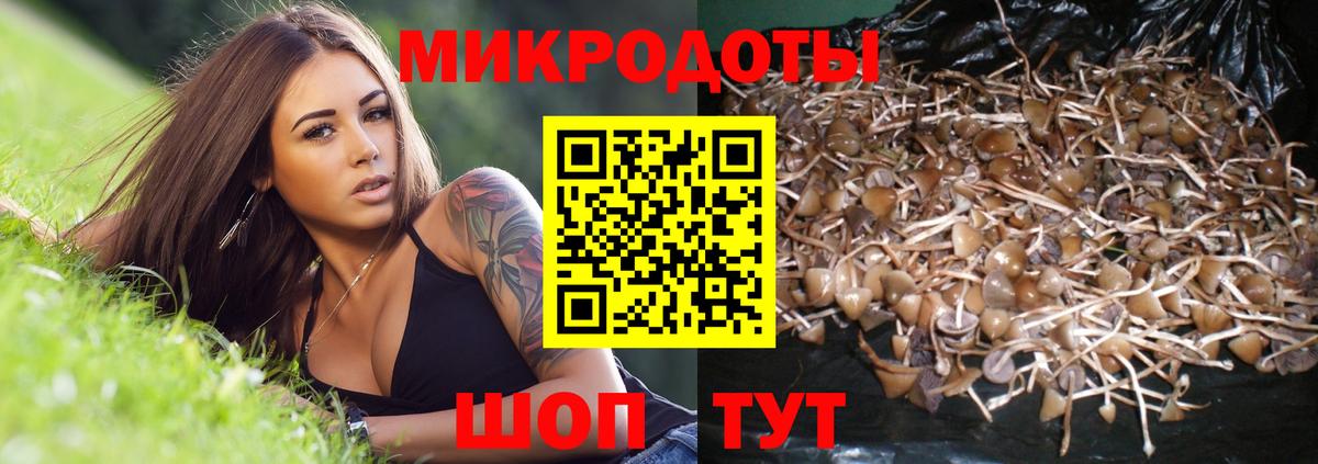 Лесной  Псилоцибиновые грибы прущие грибы  Вход с VPN 